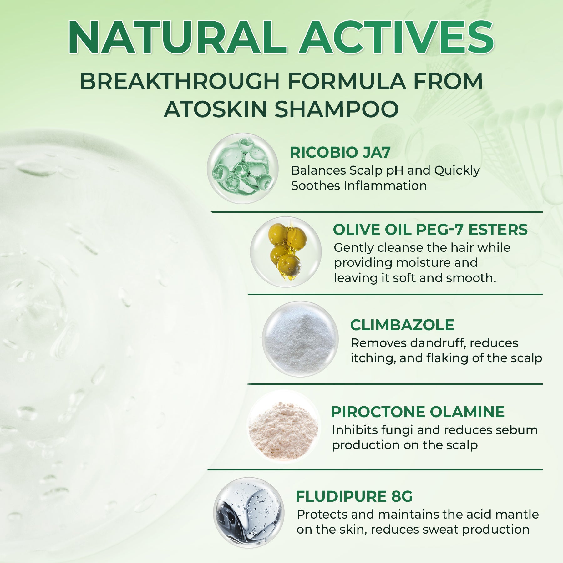 Atoskin Shampoo – for Seborrheic Dermatitis - Helps Reduce Oil & Improve Scalp Comfort (6.76 fl oz)